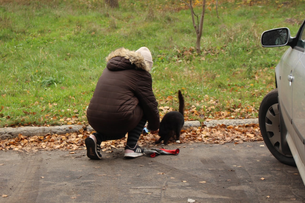 Другий виїзд до Ізюма - зображення 36
