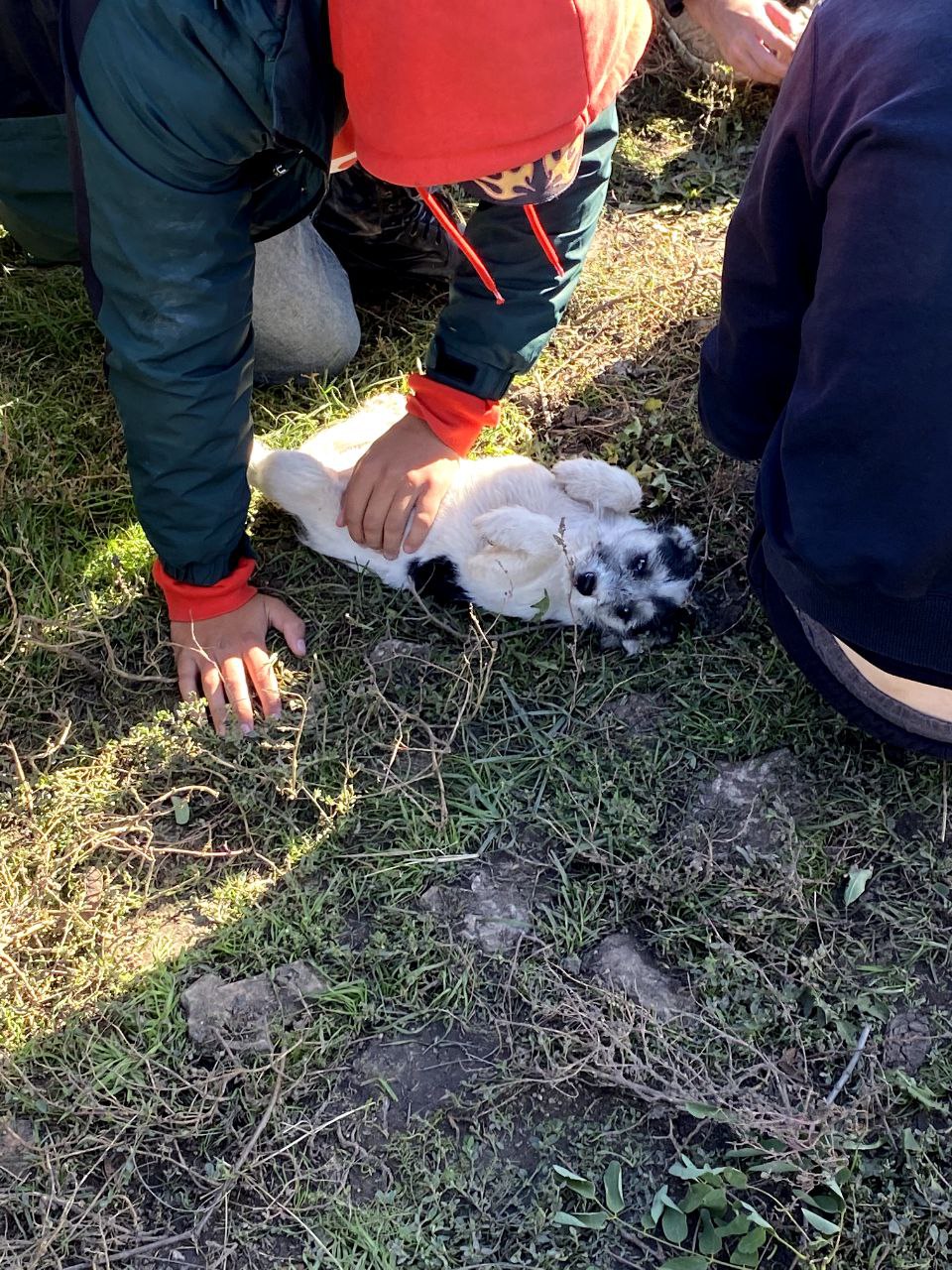 Перший об'єднаний виїзд на деокуповану Харківщину