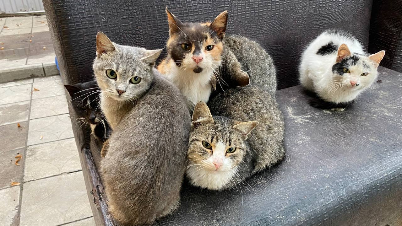 Виїзд до Ізюма - зображення 11