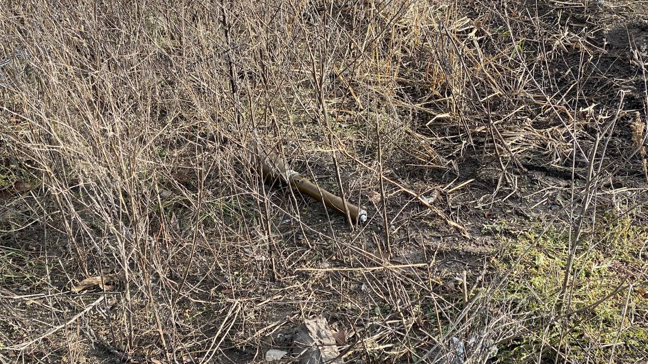 Виїзд до Савінців - зображення 6