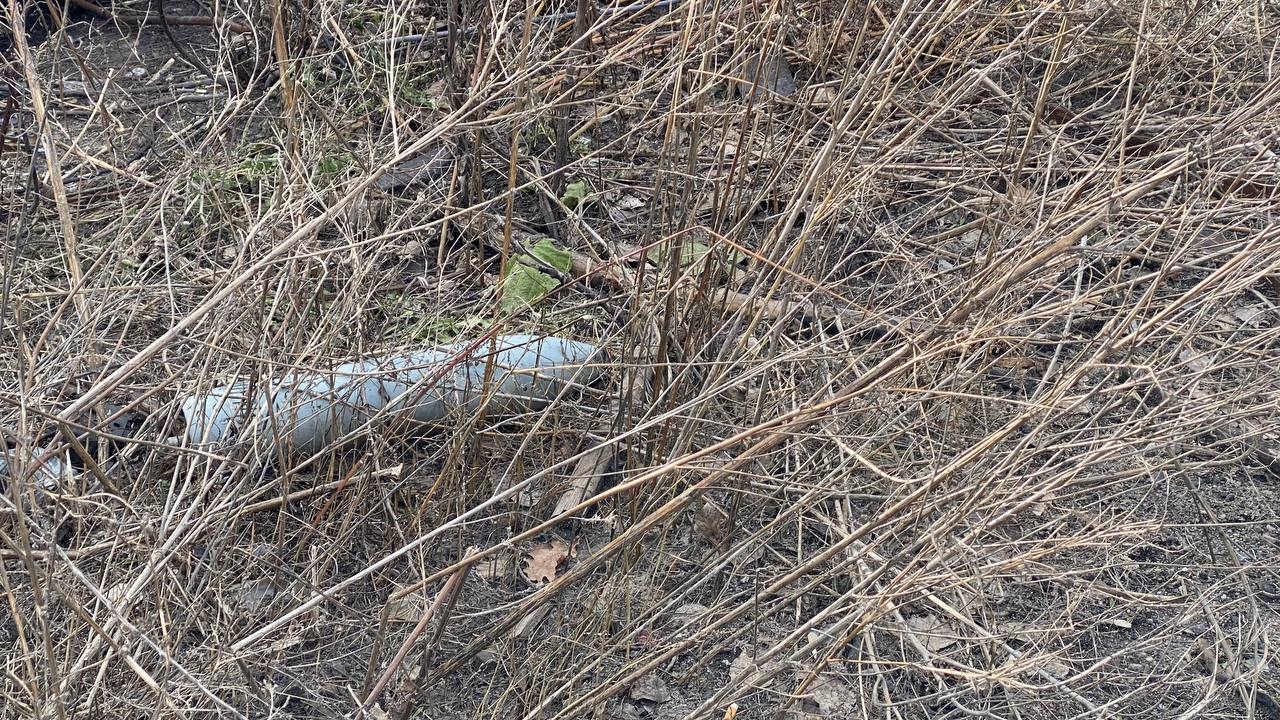 Виїзд до Савінців - зображення 7